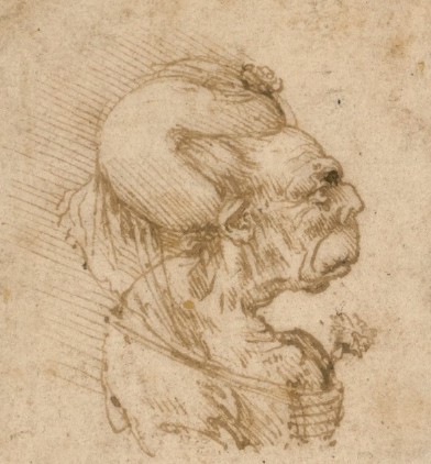 Un dibujo de Leonardo para Washington