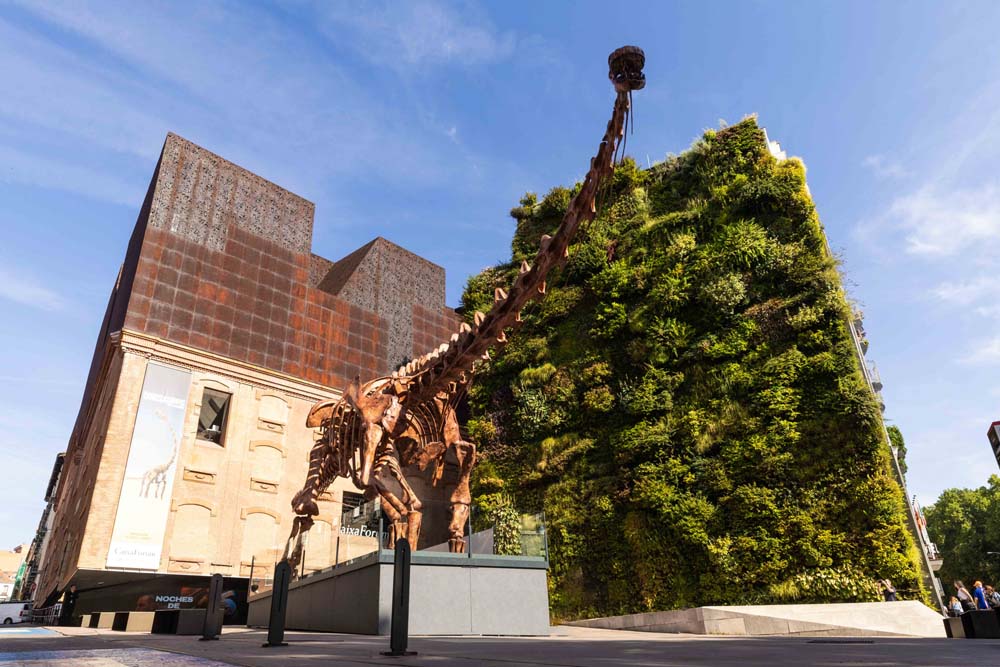 Un paseo entre dinosaurios en CaixaForum Madrid