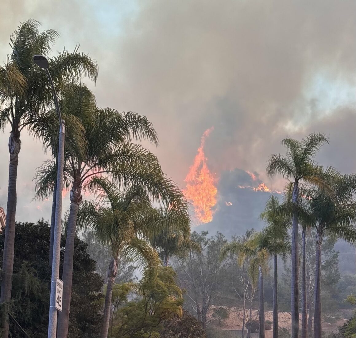 El fuego en Los Ángeles afecta la vida y el arte